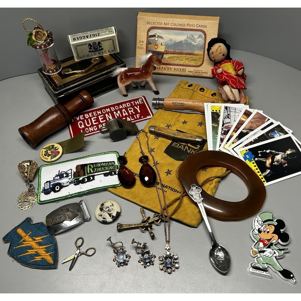 Vintage Estate Junk Drawer Lot Jewelry Doll Horse Postcard TMNT Trinkets Patches